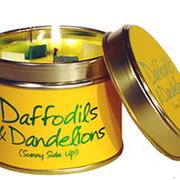 Daffodils &amp; Dandelions