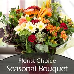 Florist Choice Seasonal Arrangement