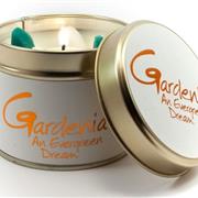 Gardenia