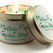 Mellow Figs &amp; Garden Mint