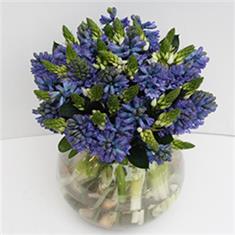 Spring Hyacinths