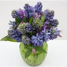 Sweet Hyacinth Vase